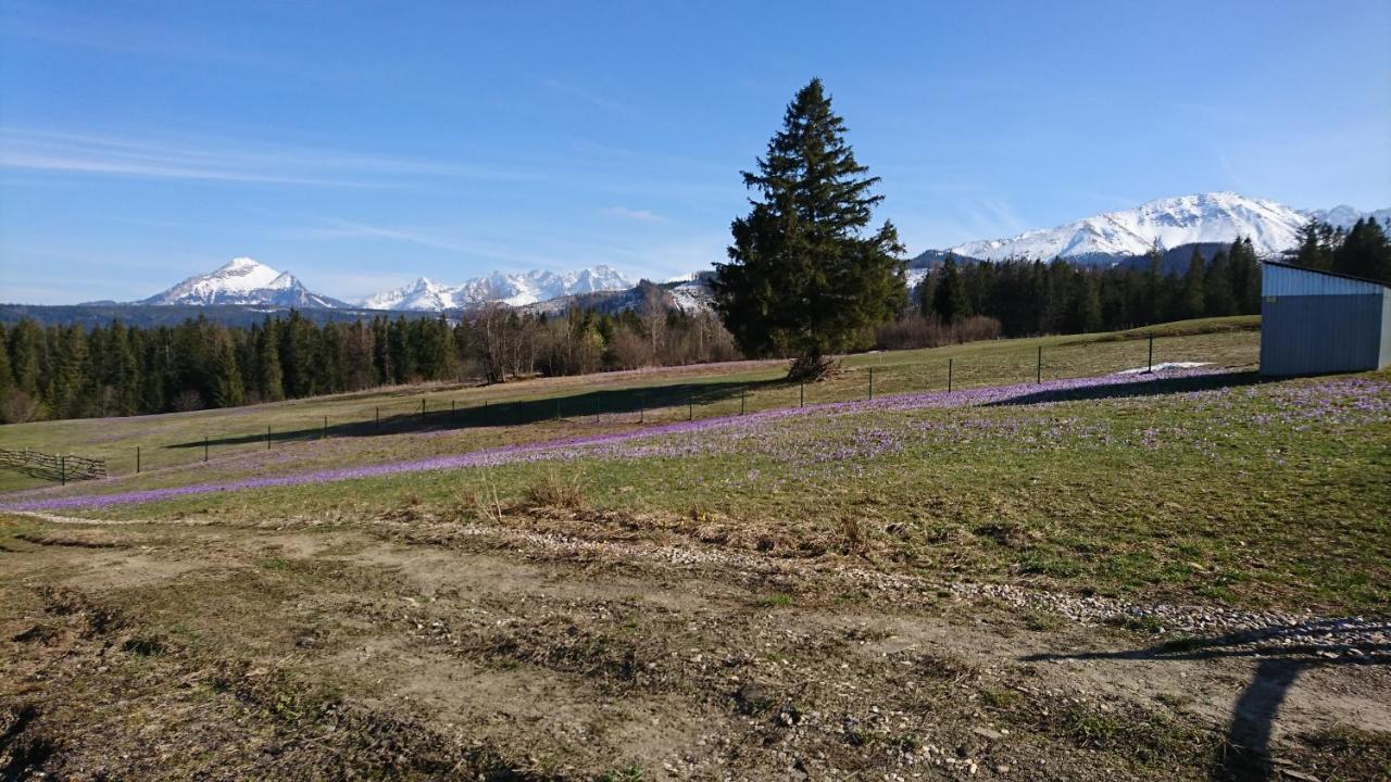 Domki Skupniowy Uplaz Murzasichle Exterior photo